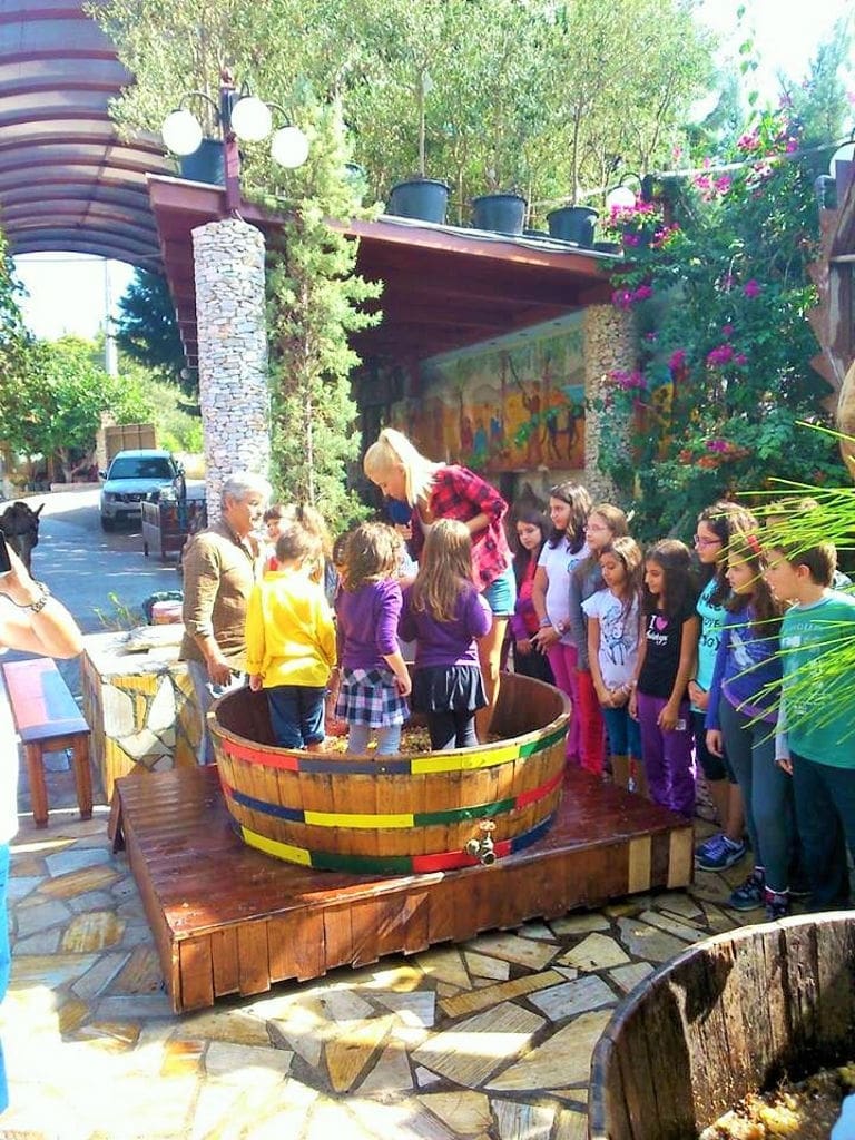 children crushing grapes by stepping barefoot on the grapes inside wood vat at Zahaios winery